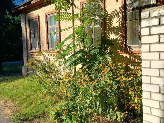 Здається будинок в центрі Черкаси