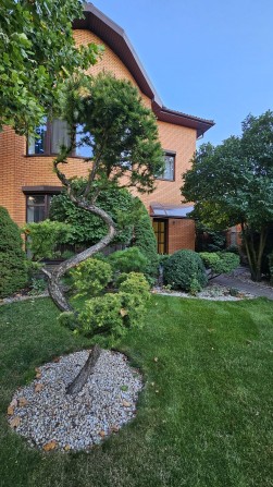 Аренда дома р-н пр. Науки (Гагарина), ул.Динамо, рядом Дафи, Подстация - фото 1