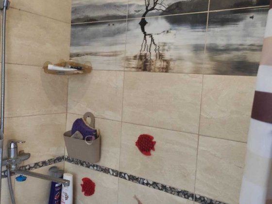 Сдам дом из двух половин Дніпро