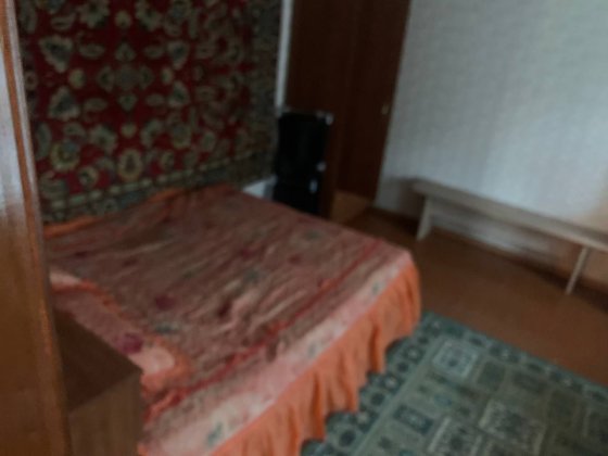 Водворе есть собака послушная добрая и ласкавая Дніпро