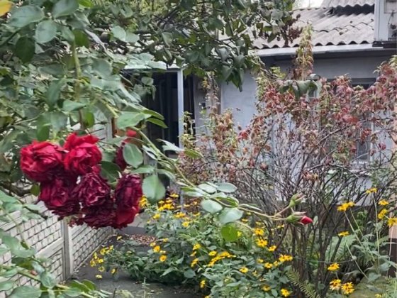 Сдам квартиру на земле! 2к! Пер Сечевой!ТК Славянка Курчатовский озерк Дніпро