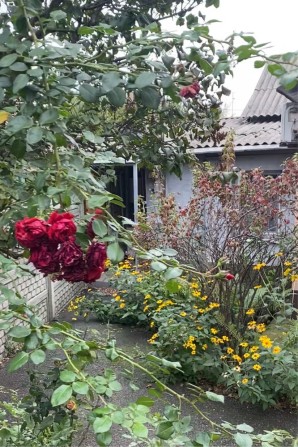 Сдам квартиру на земле! 2к! Пер Сечевой!ТК Славянка Курчатовский озерк - фото 1