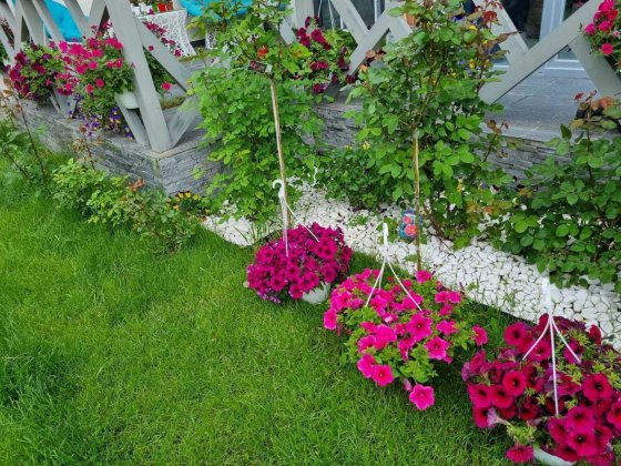 Здам VIP будинок Львов