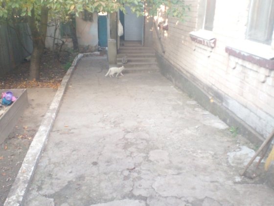 Сдается Дом на Космосе