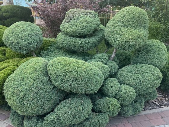 Сдам часть дома Французский бульвар Бестужева Харків