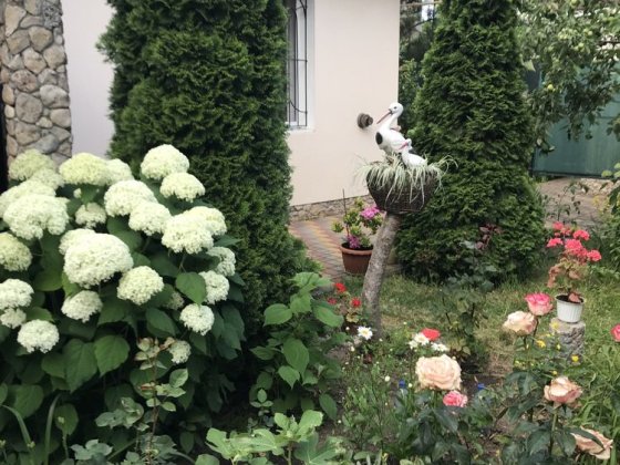 Сдаём половину дома Одесса Одеса