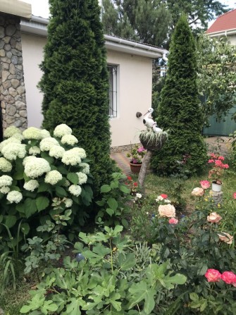 Сдаём половину дома Одесса - фото 1