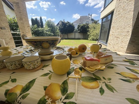 Оренда елітного котеджу на Русанівських Садах, Садова 8, м Лівобережна Київ