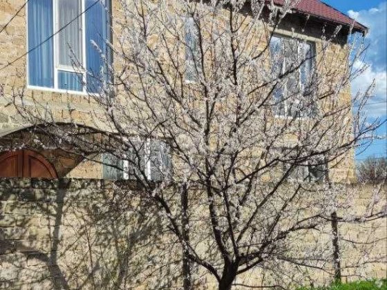 Сдам 3 комнаты (часть дома) в частном доме Одесса! Одеса