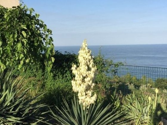 Аренда   дома  с видом  на море на 11 ст. Фонтана  , 7 сот, кооператив Одесса