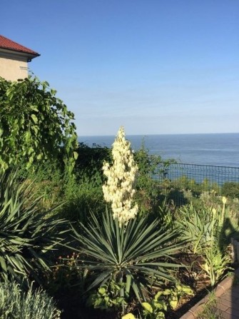 Аренда   дома  с видом  на море на 11 ст. Фонтана  , 7 сот, кооператив - фото 1