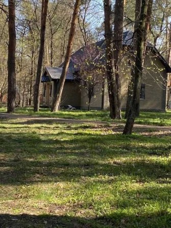 Аренда дома 250 м2 4к 200 соток село Орловщина - фото 1