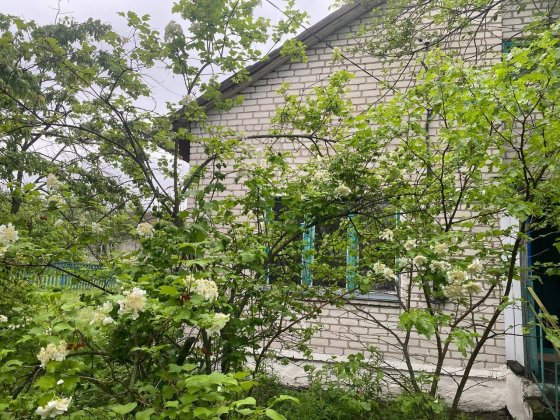 Здам будинок в Брусилові (Покришів) Брусилів