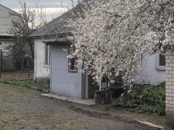 Здам будинок Нові Петрівці Новые Петровцы