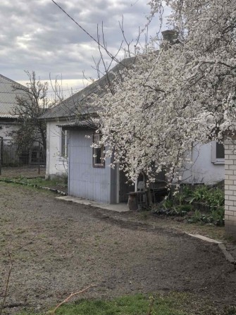 Здам будинок Нові Петрівці - фото 1