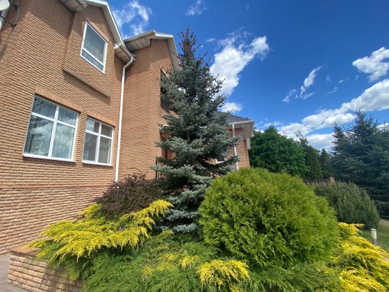 Аренда коттеджа,  Лесники 5 км от Киева Лесники