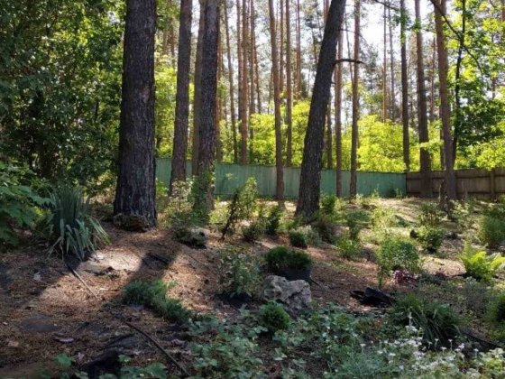 Здам в оренду частину будинку в Процеві Процев