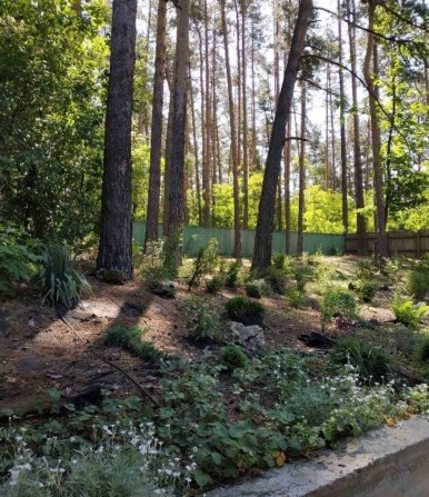 Здам в оренду частину будинку в Процеві - фото 1