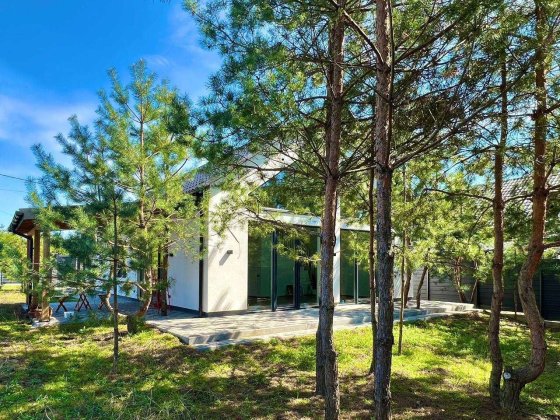 Оренда сучасного будинку в оточені молодого соснового лісу. Путровка