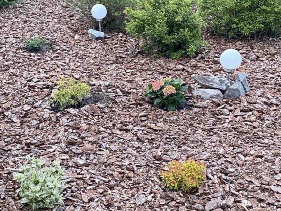 Оренда дома або продажа в Старих Безрадичах Старые Безрадичи