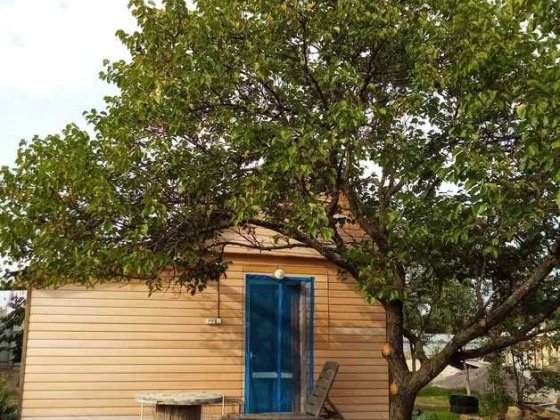 Оренда  будиночка з 01.11.25 на р.Десна,1 ліня (з генератором) Хотяновка