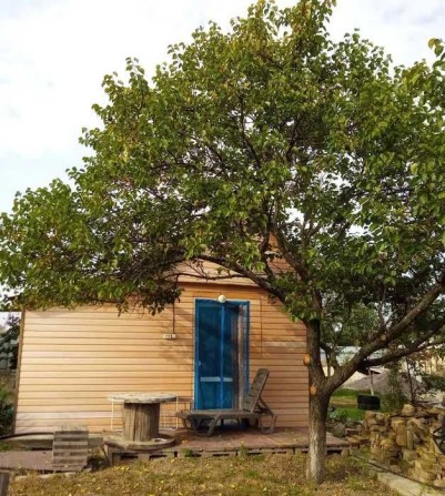 Оренда  будиночка з 01.11.25 на р.Десна,1 ліня (з генератором) - фото 1