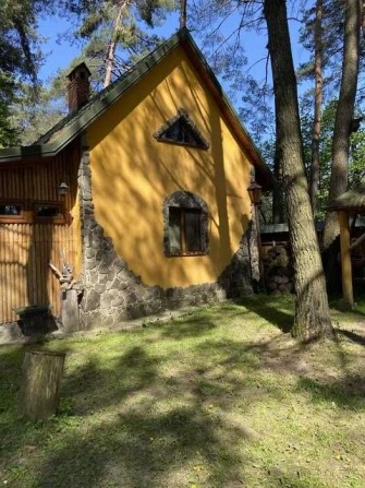 Оренда будинку в сосновому лісі в Брюховичах - фото 1