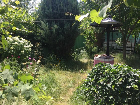 Сдам дом 2  Фонтанка читайте описание Фонтанка