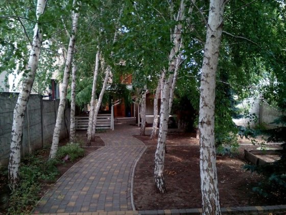 Отдельный дом в Крыжановке с баней и бассейном Крижанівка