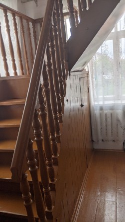 Для сумісного проживання з хазяйкою візьмемо жінку. - фото 1