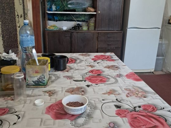 Здам кімнату у будинку Васильків