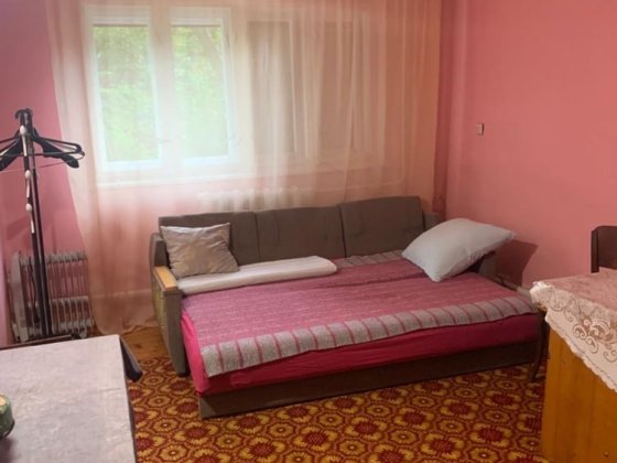 Кімната з гаражем! Виноградов