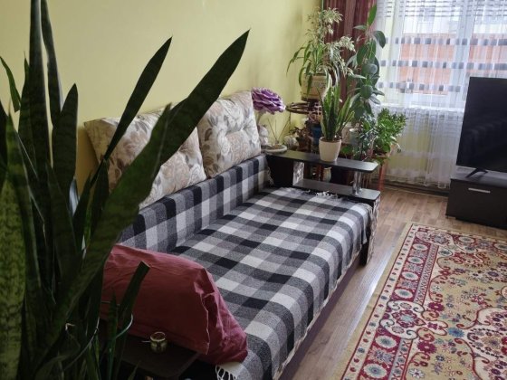 Здається в оренду кімната для дівчини в районі  Минайської вул Ужгород