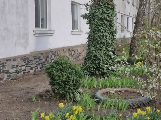 Здам кімнату в гуртожитку Житомир