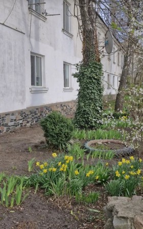 Здам кімнату в гуртожитку - фото 1