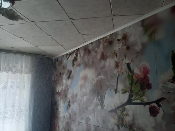 Здаю кімнату в гуртожитку Житомир