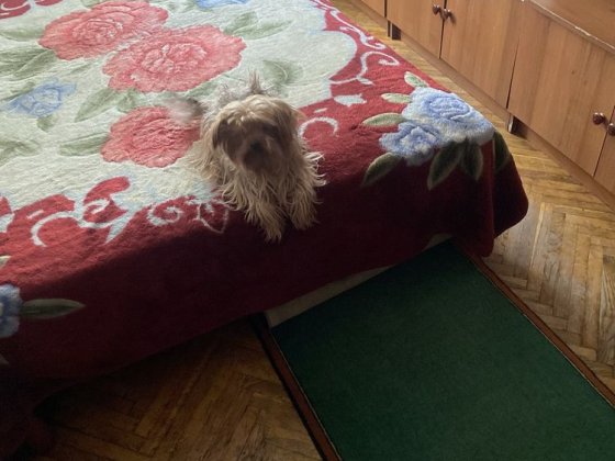 Кімната від власника  метро дорогожичи Київ