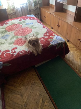 Кімната від власника  метро дорогожичи - фото 1