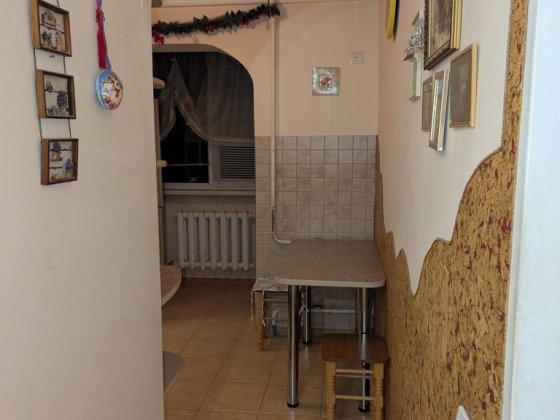 Оренда 1 кімнатної квартири, район Володимира Великого Львов