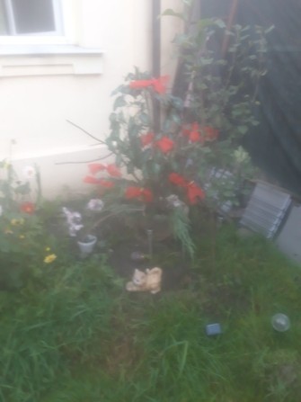 Сдам! Комнату в ч секторе! - фото 1