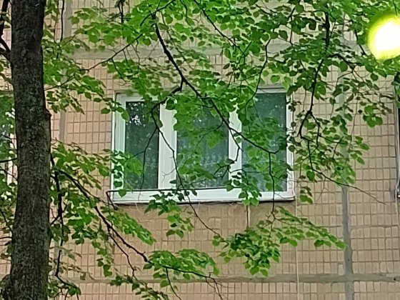 Сдам гостинку на Салтовке Харків