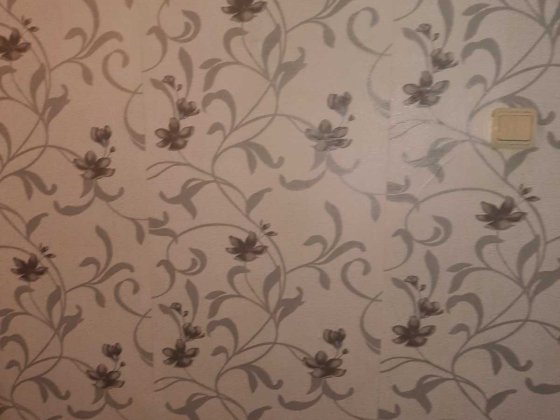 Сдача комнаты в Киеве Київ