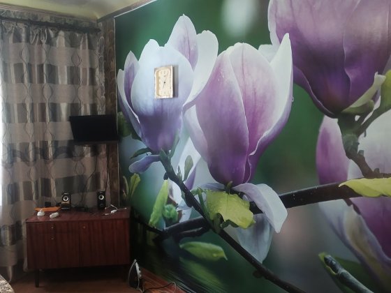 2 комнатная квартира,обмен Александрия