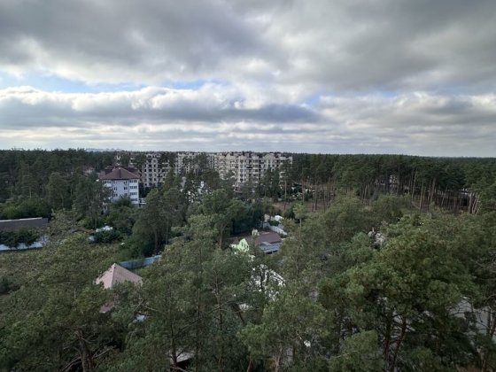 Пентхаус з терасою. Максимальне наповнення. З доками Гостомель