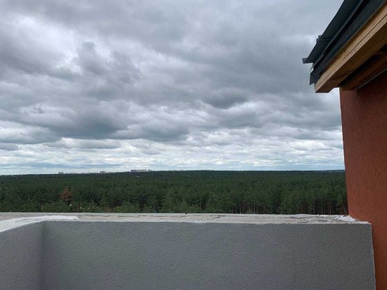 Дворівнева з терасою біля Києва — стильне житло в оточенні лісу Гостомель