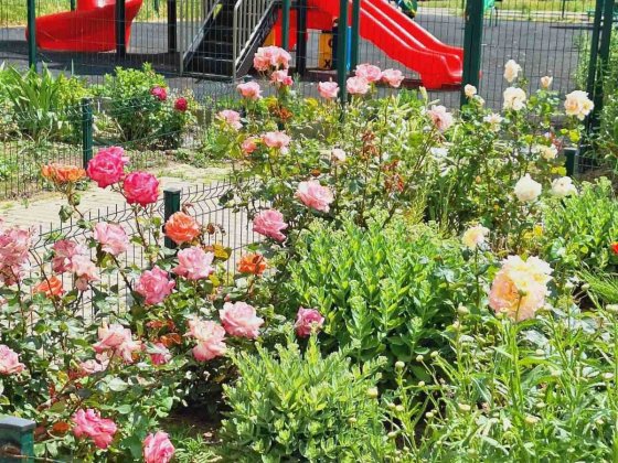 1 к/кв в г.Черноморск Черноморск