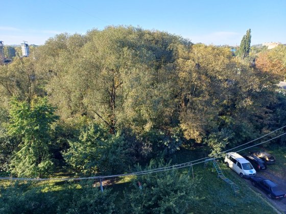 Продам свою квартиру Конотоп