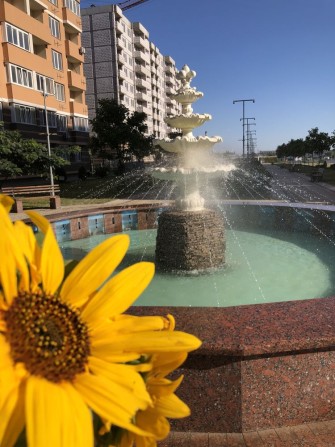 Продам квартиру и Этаж, который вас никогда не подведет! - фото 1