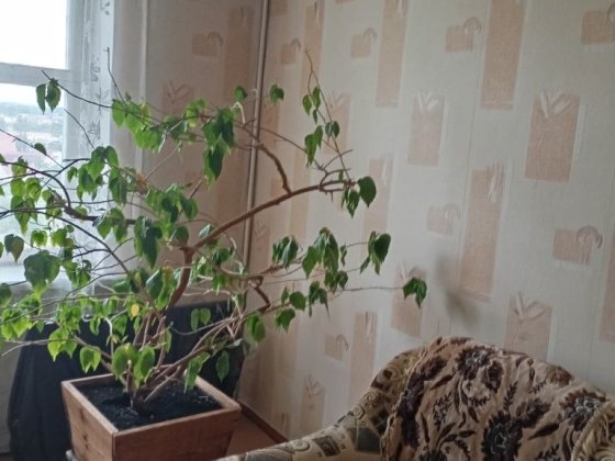 Продається 4-кімнатна квартира Нетешин