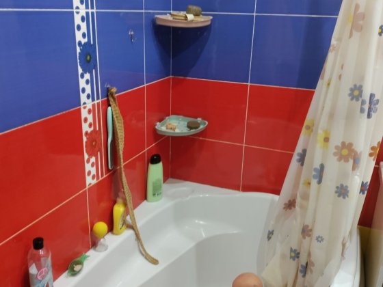 Продам трикімнатну квартиру Павлоград